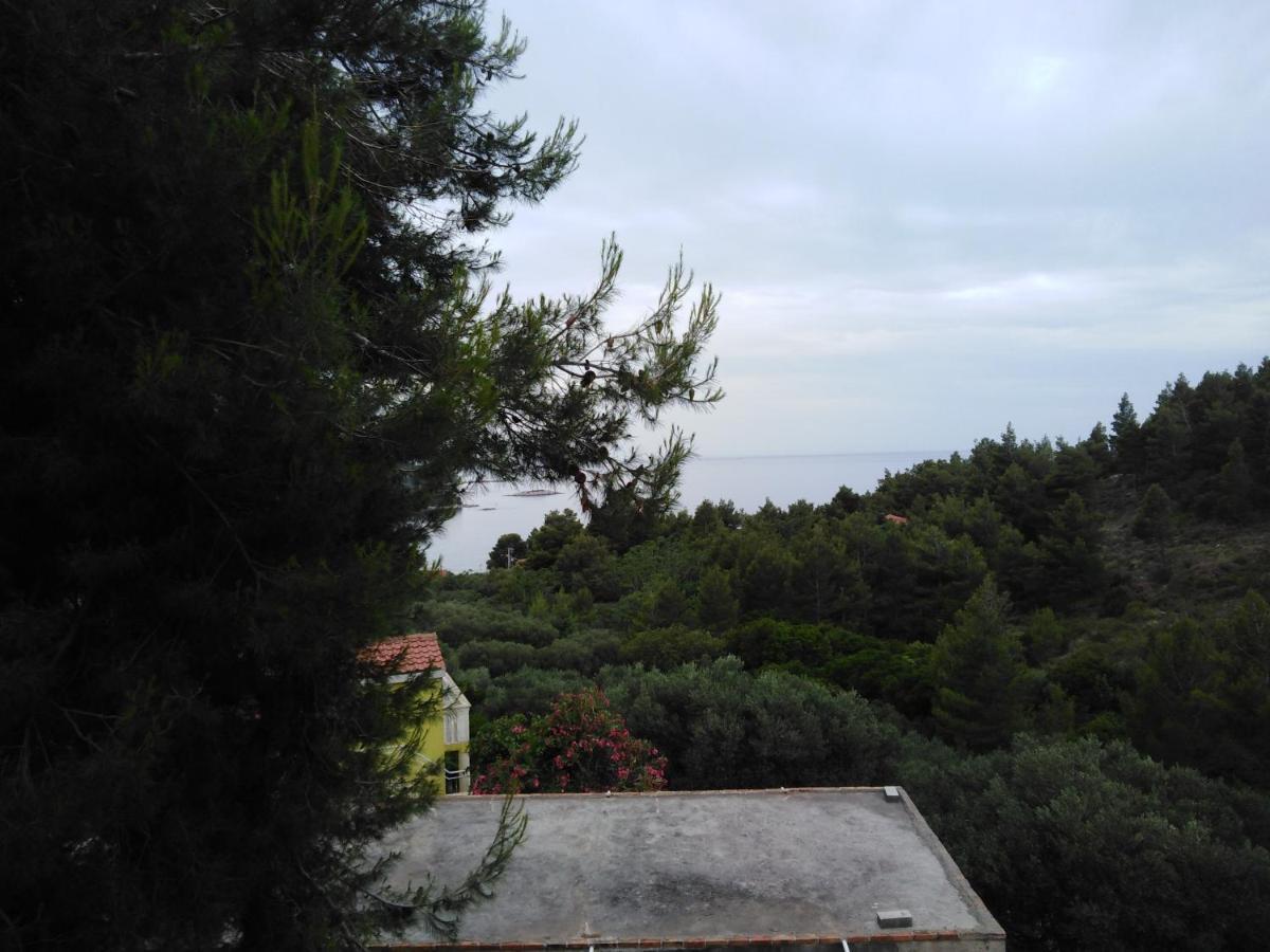 Apartman Ana Apartment Zuljana Bagian luar foto